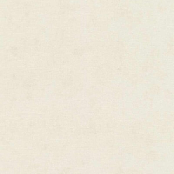 Tapete Weiß Rasch Vliestapete (408126)
