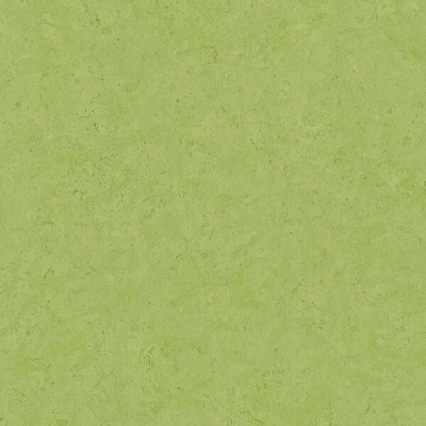 Tapete Grün livingwalls Vliestapete (378658)