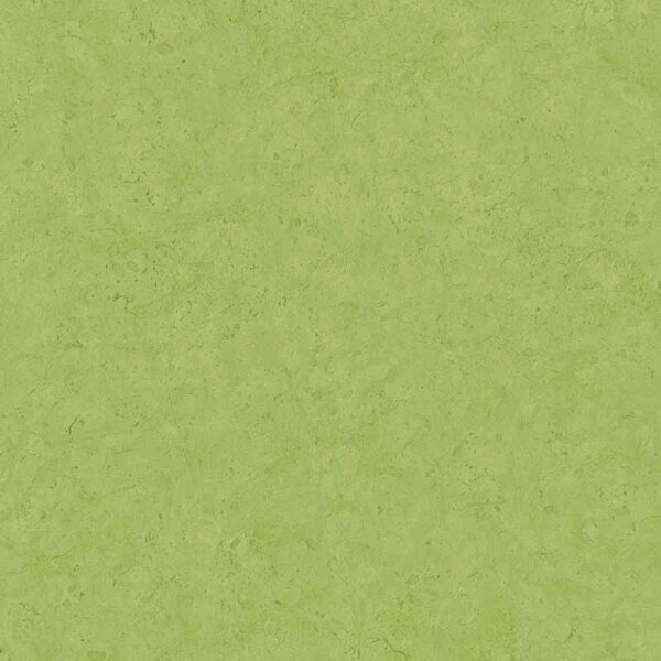 Tapete Grün livingwalls Vliestapete (378658)