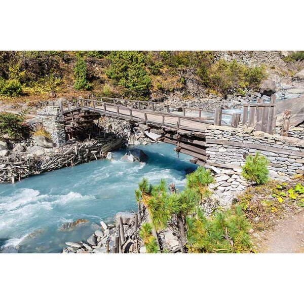 Digitaldruck-Tapete Wildbach livingwalls (DD115021)