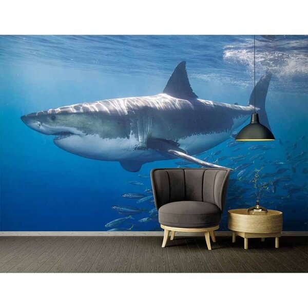 Digitaldruck-Tapete WhiteShark livingwalls (DD114701)