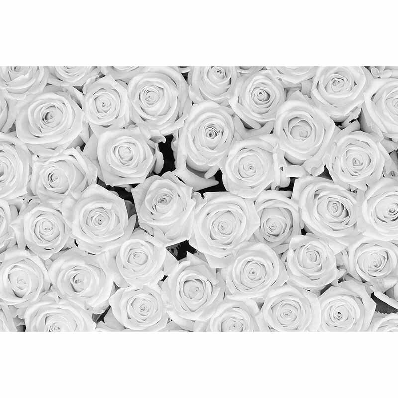 Digitaldruck-Tapete White Roses livingwalls (DD115108)