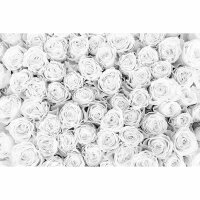 Digitaldruck-Tapete WhiteRoses livingwalls (DD115093)