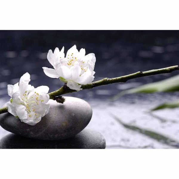 Digitaldruck-Tapete WhiteFlowers livingwalls (DD115116)