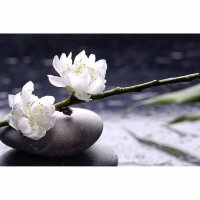 Digitaldruck-Tapete WhiteFlowers livingwalls (DD115116)