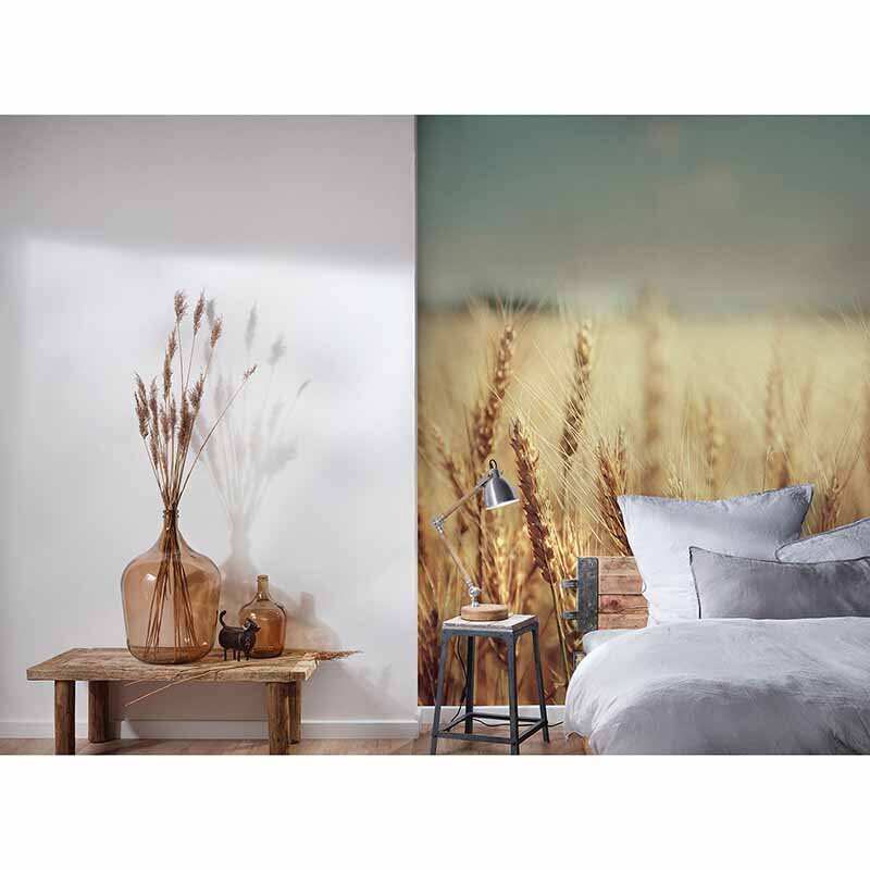 Digitaldruck-Tapete WheatField livingwalls (DD115142)
