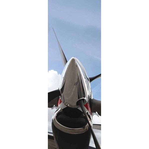 Digitaldruck-Tapete TimeFlies livingwalls (DD116039)