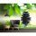 Digitaldruck-Tapete Spa livingwalls (DD115112)