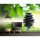Digitaldruck-Tapete Spa livingwalls (DD115112)