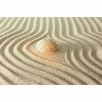 Digitaldruck-Tapete ShinyStoneonSa livingwalls (DD115120)