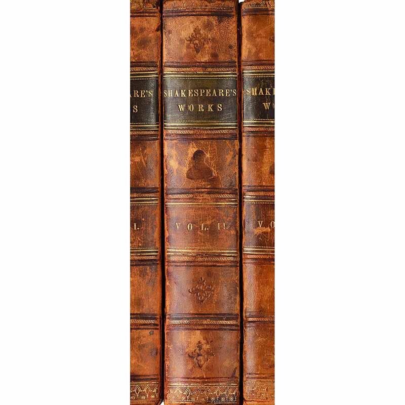 Digitaldruck-Tapete Shakespeare livingwalls (DD115814)