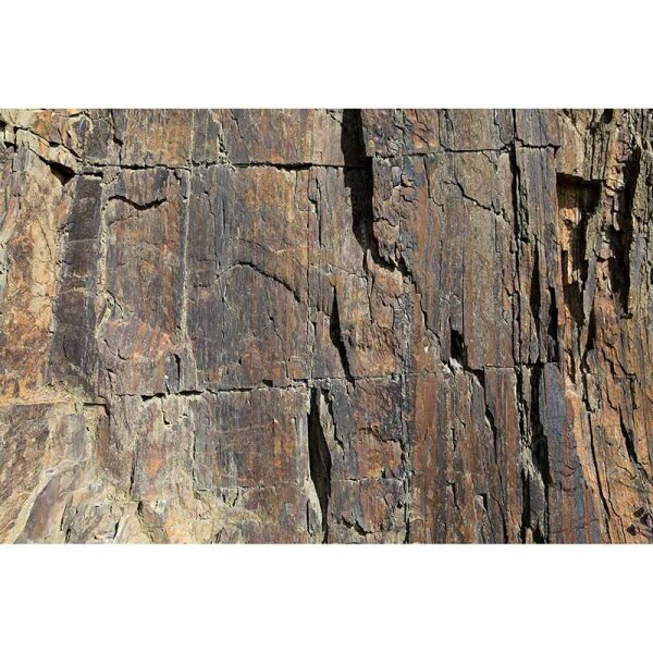 Digitaldruck-Tapete RockFace1 livingwalls (DD115676)