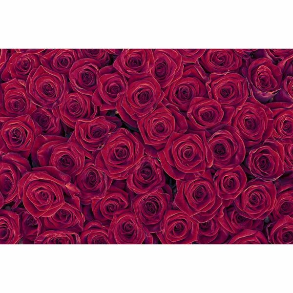 Digitaldruck-Tapete RedRoses livingwalls (DD115098)