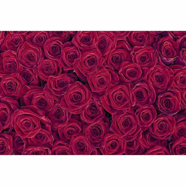 Digitaldruck-Tapete RedRoses livingwalls (DD115098)