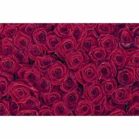 Digitaldruck-Tapete RedRoses livingwalls (DD115098)
