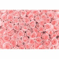 Digitaldruck-Tapete PinkRoses livingwalls (DD115088)
