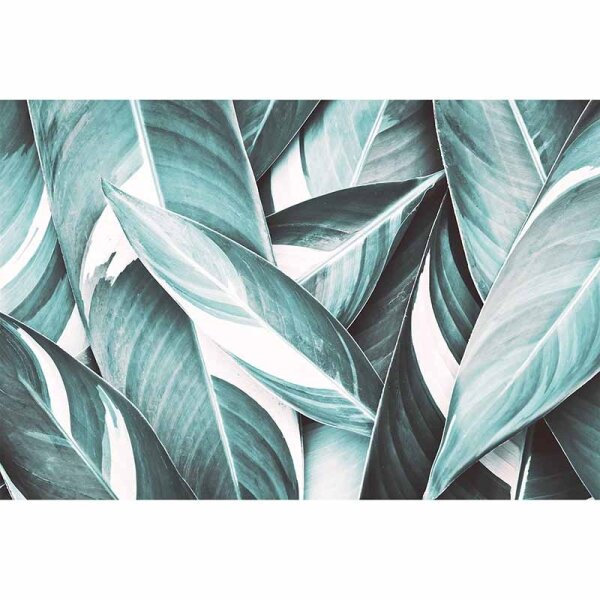 Digitaldruck-Tapete PamlsLeaf4 livingwalls (DD115620)