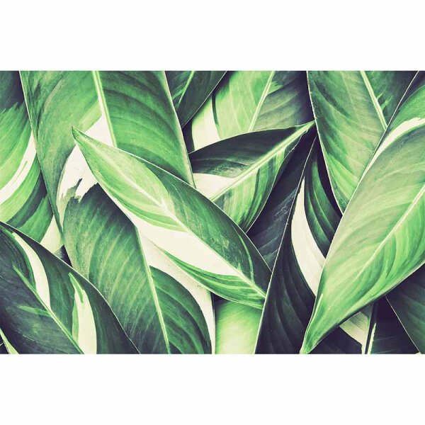Digitaldruck-Tapete PamlsLeaf3 livingwalls (DD115615)