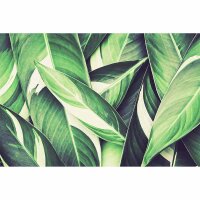 Digitaldruck-Tapete PamlsLeaf3 livingwalls (DD115615)