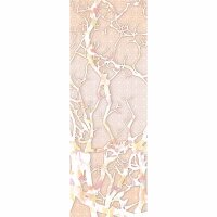 Digitaldruck-Tapete Mystical livingwalls (DD116294)