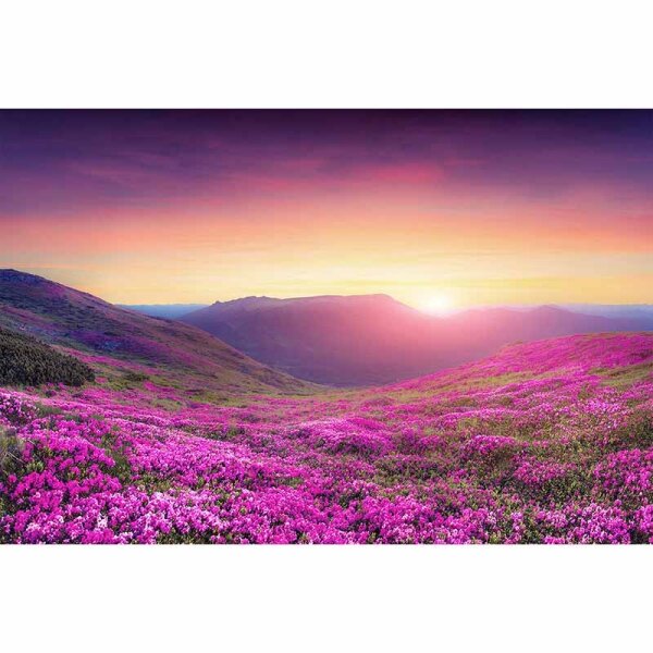 Digitaldruck-Tapete MoutainMeadow livingwalls (DD115190)