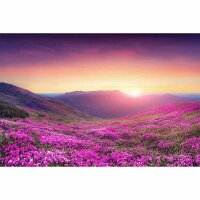 Digitaldruck-Tapete MoutainMeadow livingwalls (DD115190)