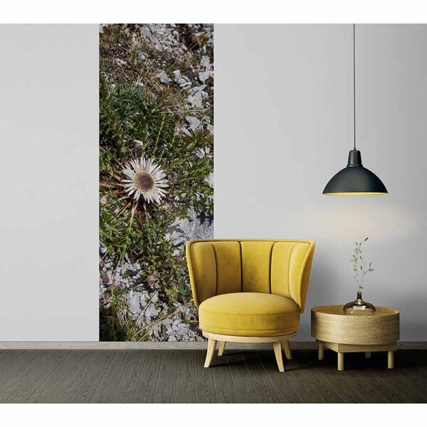 Digitaldruck-Tapete LittleDiscover livingwalls (DD116069)