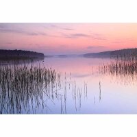 Digitaldruck-Tapete LakeCalm livingwalls (DD115181)