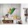 Digitaldruck-Tapete Hummingbird livingwalls (DD115575)