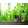 Digitaldruck-Tapete GrassinDewdrop livingwalls (DD115012)