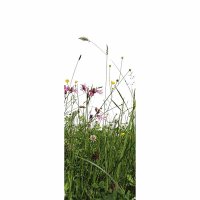 Digitaldruck-Tapete Grass livingwalls (DD116089)