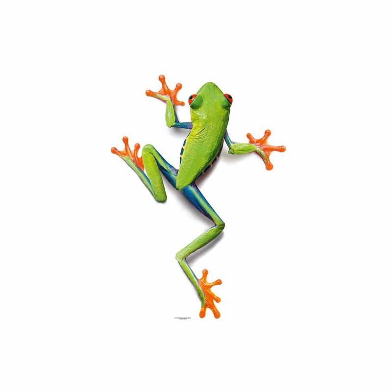 Digitaldruck-Tapete Frog livingwalls (DD114717)