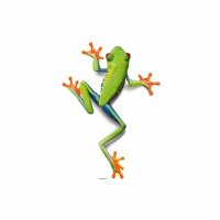 Digitaldruck-Tapete Frog livingwalls (DD114717)