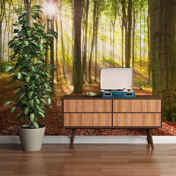 Digitaldruck-Tapete ForestSummer livingwalls (DD114968)