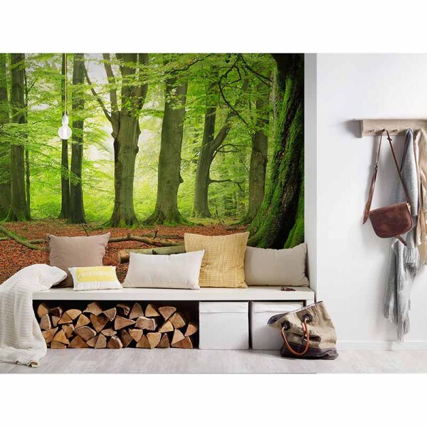 Digitaldruck-Tapete Forest livingwalls (DD114976)