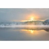 Digitaldruck-Tapete FoggyMorning livingwalls (DD115128)