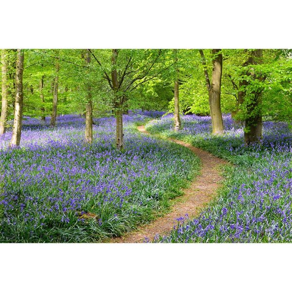 Digitaldruck-Tapete FlowersInFores livingwalls (DD114988)