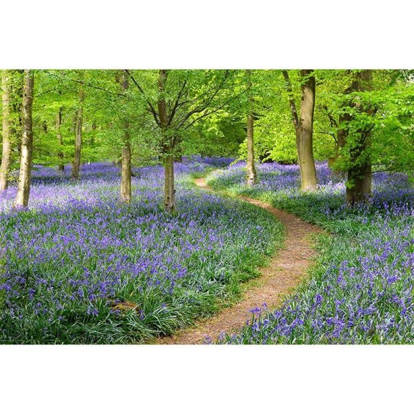 Digitaldruck-Tapete FlowersInFores livingwalls (DD114988)