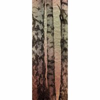 Digitaldruck-Tapete FairyTale livingwalls (DD115934)