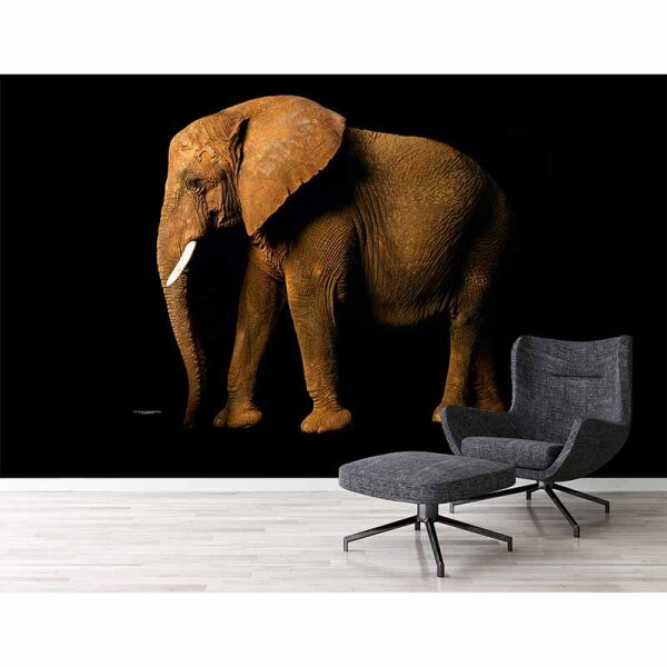Digitaldruck-Tapete ElephantSite livingwalls (DD114676)