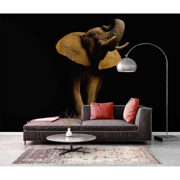 Digitaldruck-Tapete ElephantFont livingwalls (DD114672)