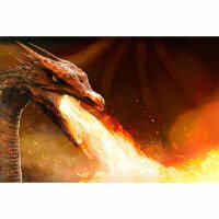 Digitaldruck-Tapete Dragon livingwalls (DD114959)