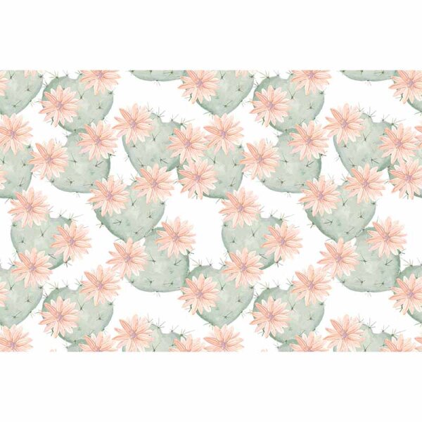 Digitaldruck-Tapete Cactus1 livingwalls (DD115580)