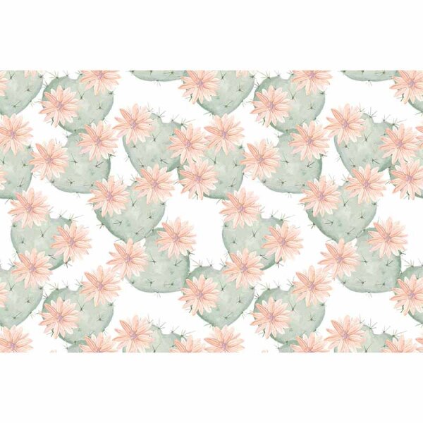 Digitaldruck-Tapete Cactus1 livingwalls (DD115580)