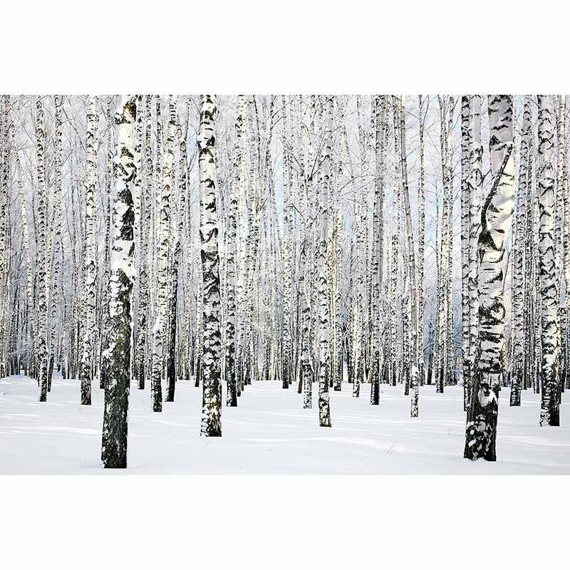 Digitaldruck-Tapete BirchInWinter livingwalls (DD114996)