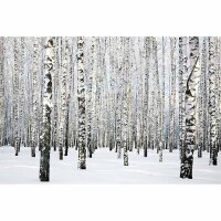 Digitaldruck-Tapete BirchInWinter livingwalls (DD114996)