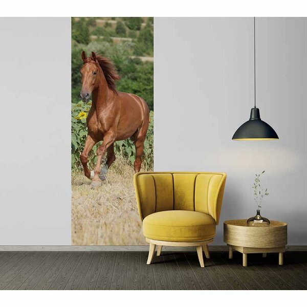 Digitaldruck-Tapete Beauty livingwalls (DD115859)