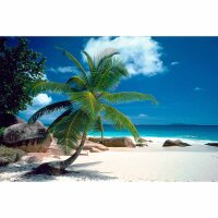 Digitaldruck-Tapete Beach livingwalls (DD115037)