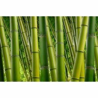 Digitaldruck-Tapete Bamboo livingwalls (DD115017)