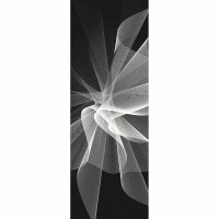 Digitaldruck-Tapete B&amp;WBlack/Whit livingwalls (DD116349)